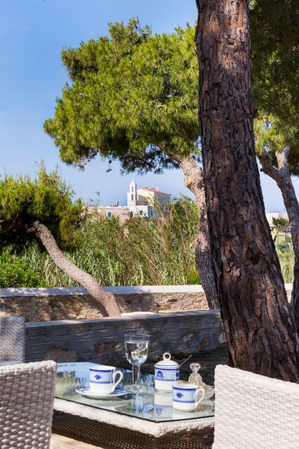 Dellagracia Mansion In Poseidonia Syros Villa Posidhonía Exterior photo